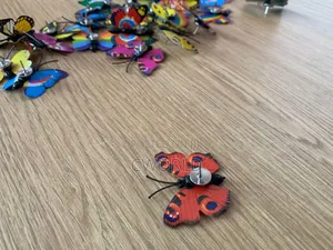 Butterfly Push Pins