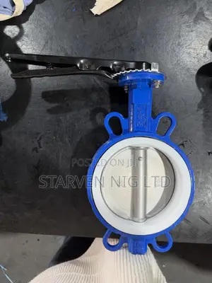 Teflon Ptfe Butterfly Valves