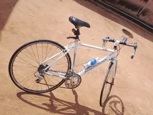 Sporty Pro Bicycle