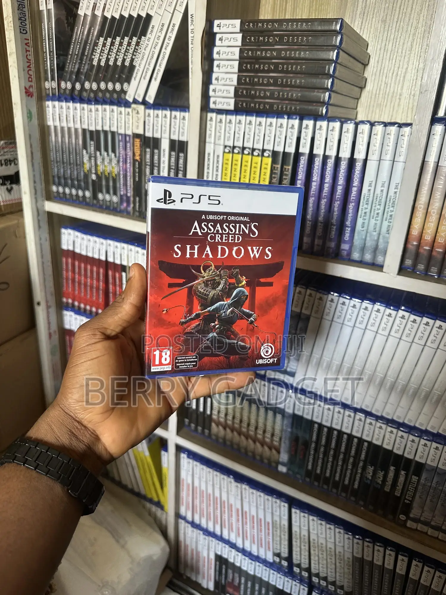 Assassin Creed Shadow