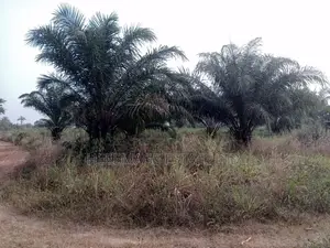 50 Acres Farmland
