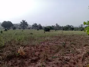 50 Acres Farmland