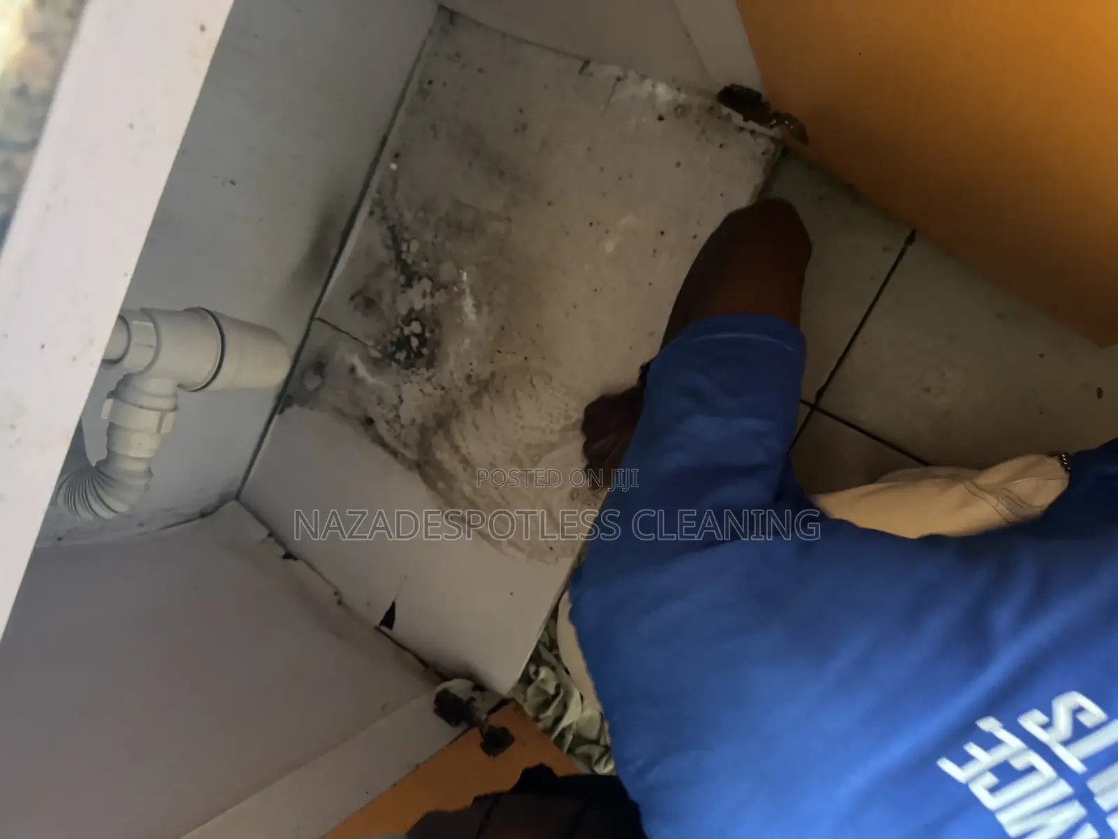 Cleaning Service