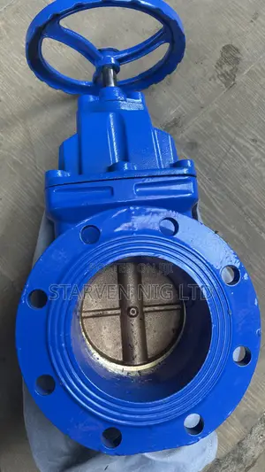 Cast Iron Flanged Gate Valve