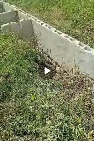 Sales - Video Available Upon Request