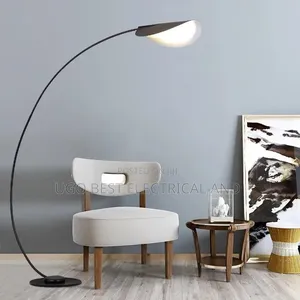 Standing Floor Lamp Available
