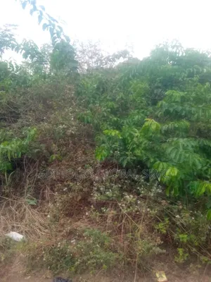 Land For Sale At Mile 7 Abeokuta