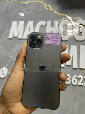Apple iPhone 12 Pro 256 GB Gray