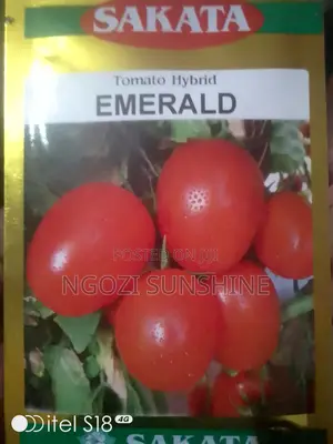 Sakata Tomato Hybrid Emerald