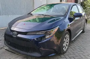 Toyota Corolla LE 2020 Blue