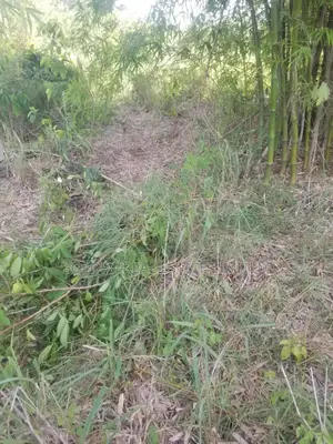 For Sale A Plot of Land With Old Building at Ado Ekiti