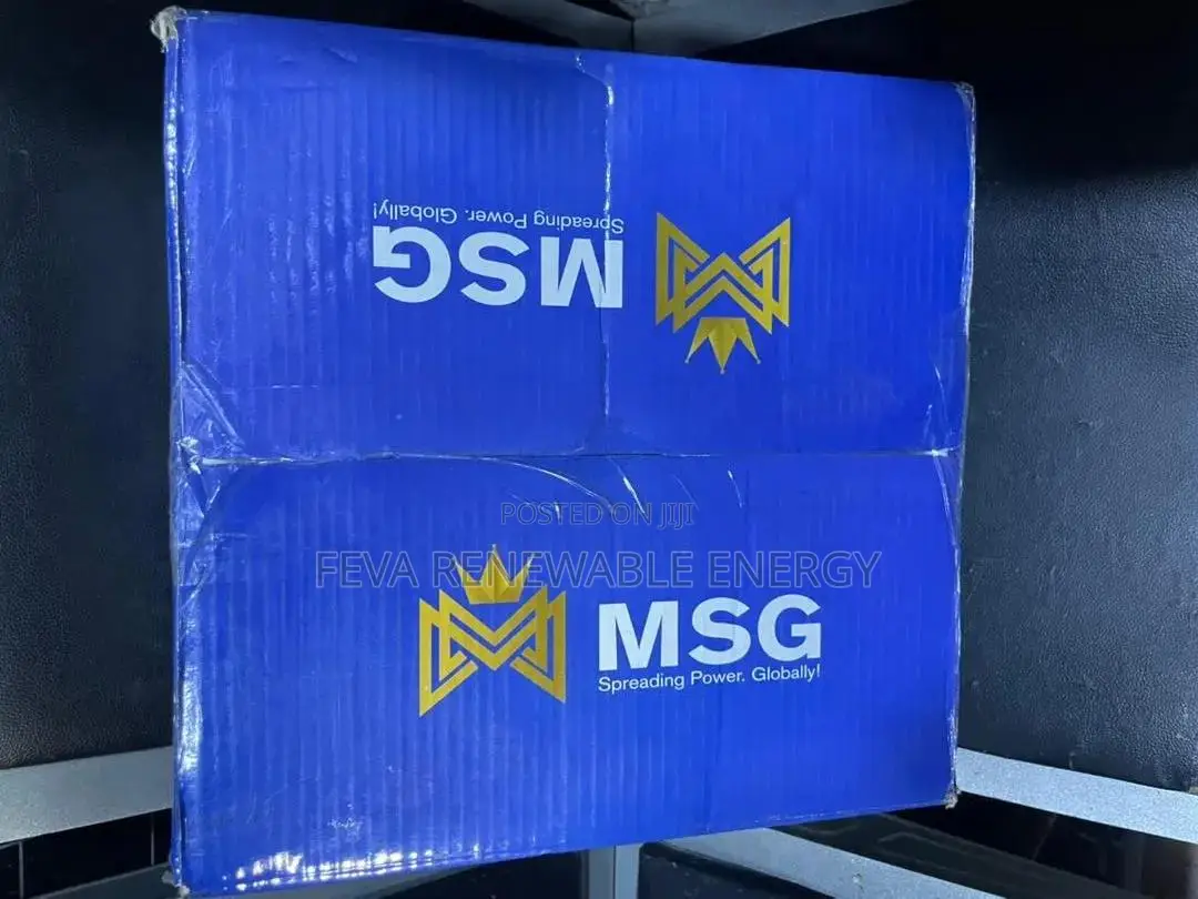 MSG 1.5kva 12v Inverter