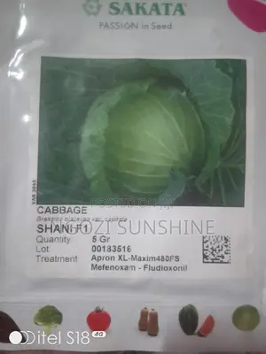 Sakata Cabbage Shani F1