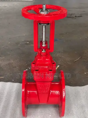 Os Y Cast Iron Flanged Gate Valve