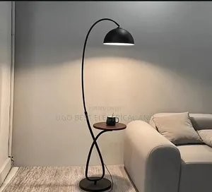 Standing Floor Lamp Available Bulb Type