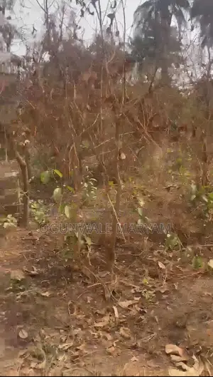 Affordable 2 Plots of Land for Sale in Dagbolu, Osogbo.