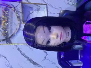 Human Hair Wig