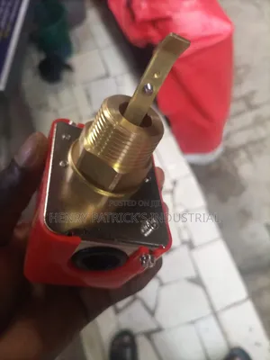 Flow Switch