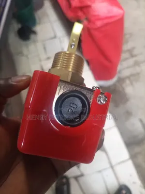 Flow Switch