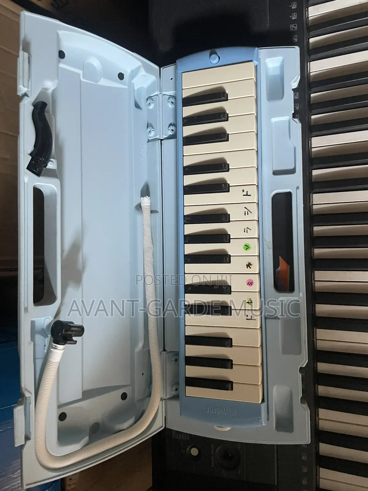 Yamaha and Casio Keyboards