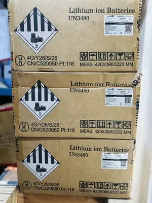 Luxwatt 2.56kwh 25.6v 100ah Lifepo4 Lithium Battery Es-Box40s-C