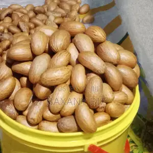 Bitter Kola