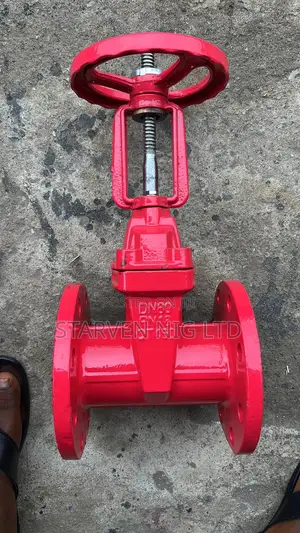 Os Y Cast Iron Flanged Gate Valve