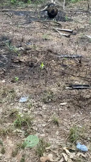 Land for Sale (Hot Deal!!)