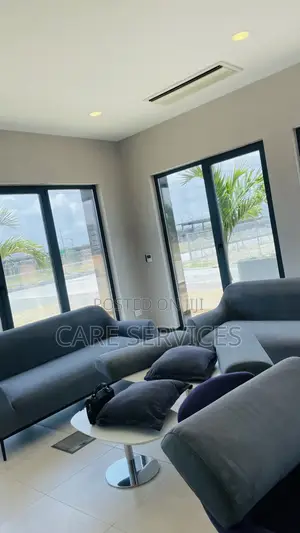 Expert Sofa Deep Cleaning