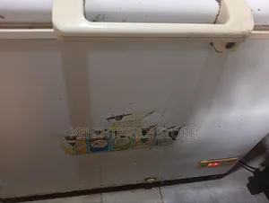 Haier Themocool Freezer