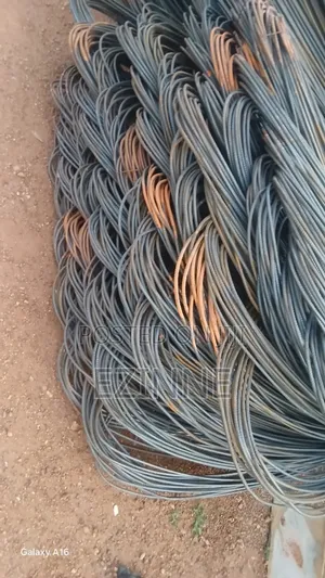 Imported and Local Reinforcement