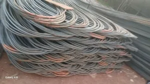 Imported and Local Reinforcement