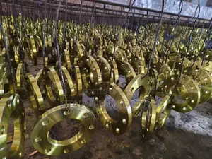 Steel Flanges