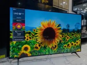 Lg 65" Frameless Uhd HDR Webos