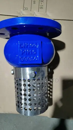 Cast Iron Footvalves