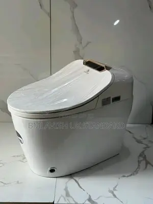 Smart Sensor Water Closet