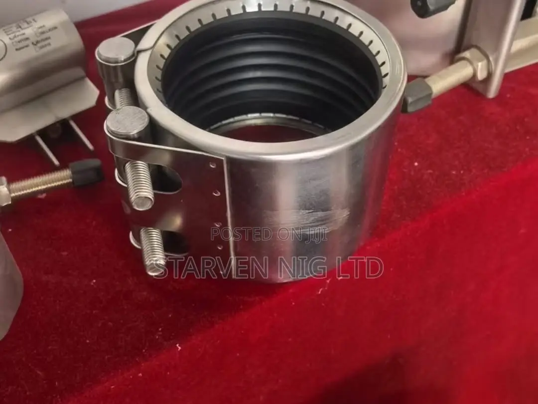 Stainless Clips