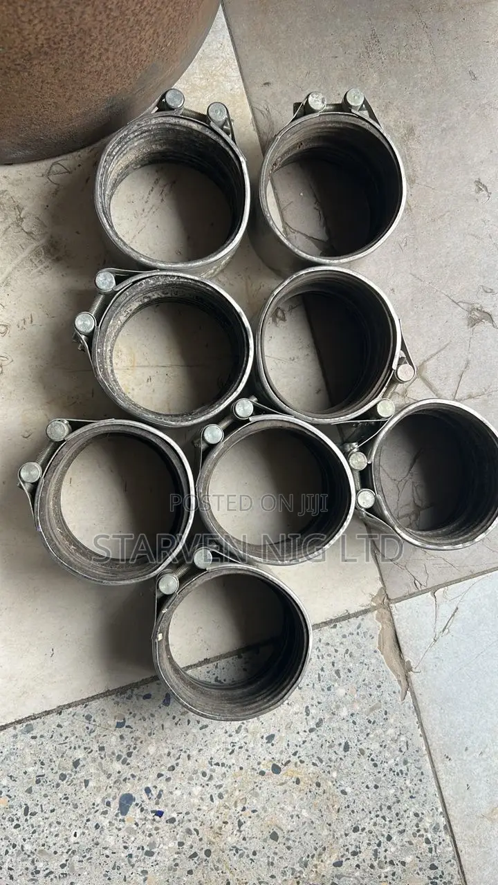 Stainless Clips