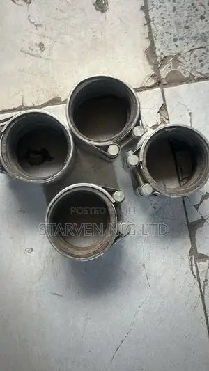 Stainless Clips