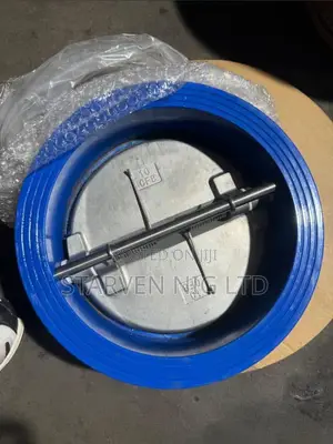 Gestra Check Valve