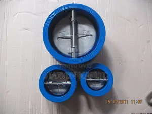 Gestra Check Valve