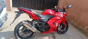 Kawasaki Ninja 300 2017 Red