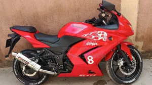 Kawasaki Ninja 300 2017 Red