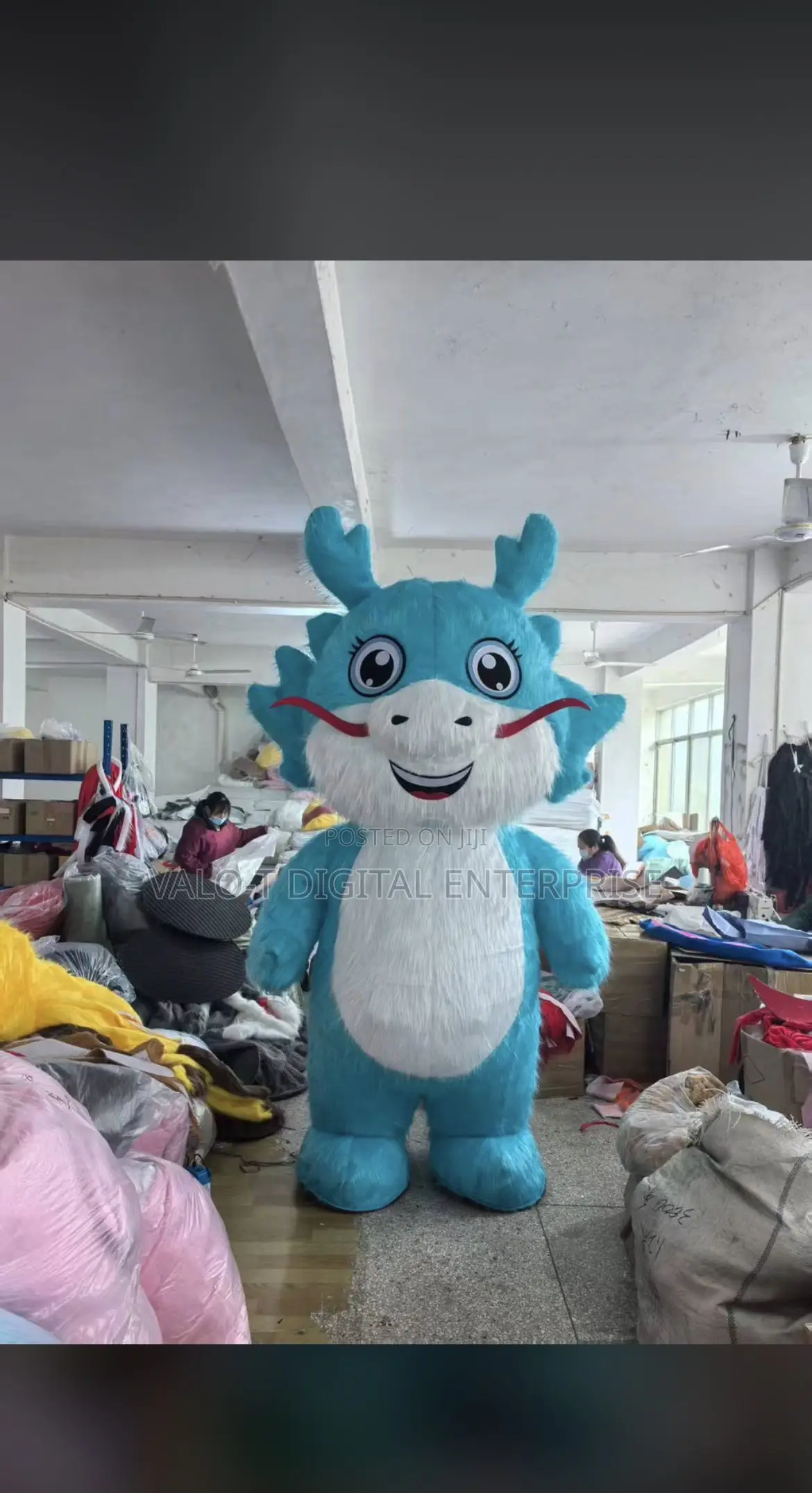 Mascot Costume