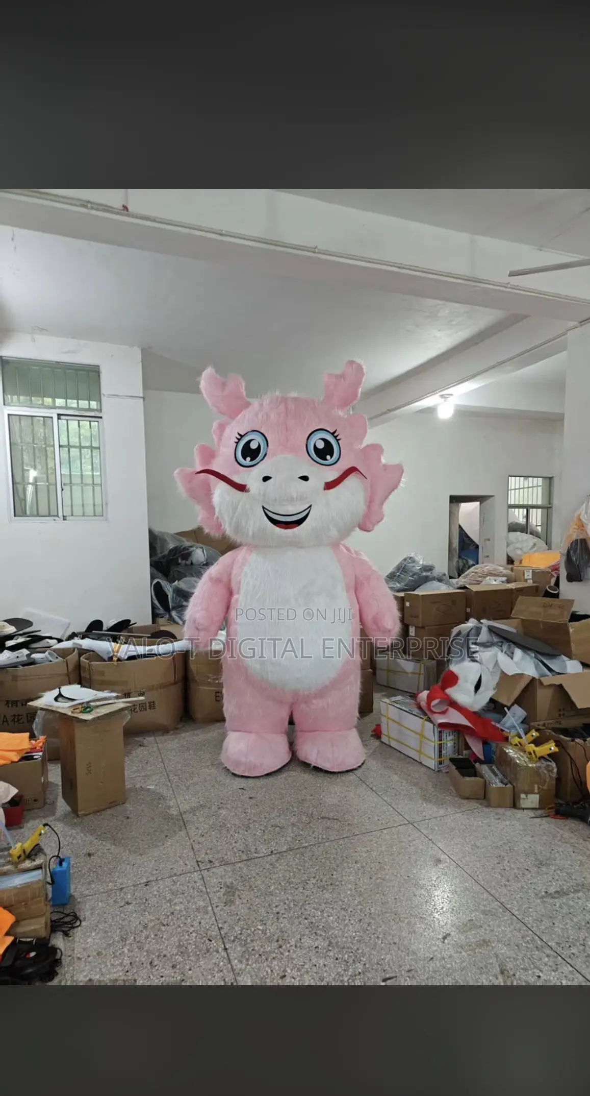 Mascot Costume