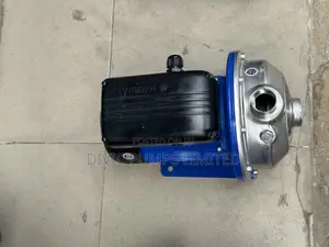 Lowara Surface Pump
