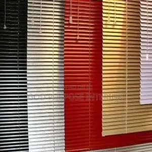 Window Blind