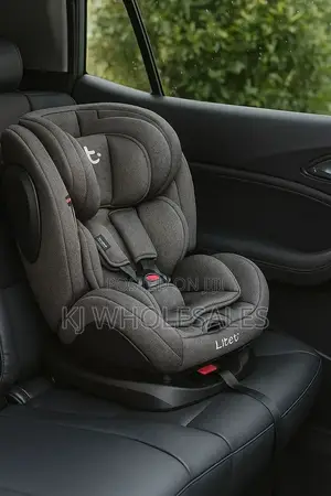 Infant to Toddler Car Seat