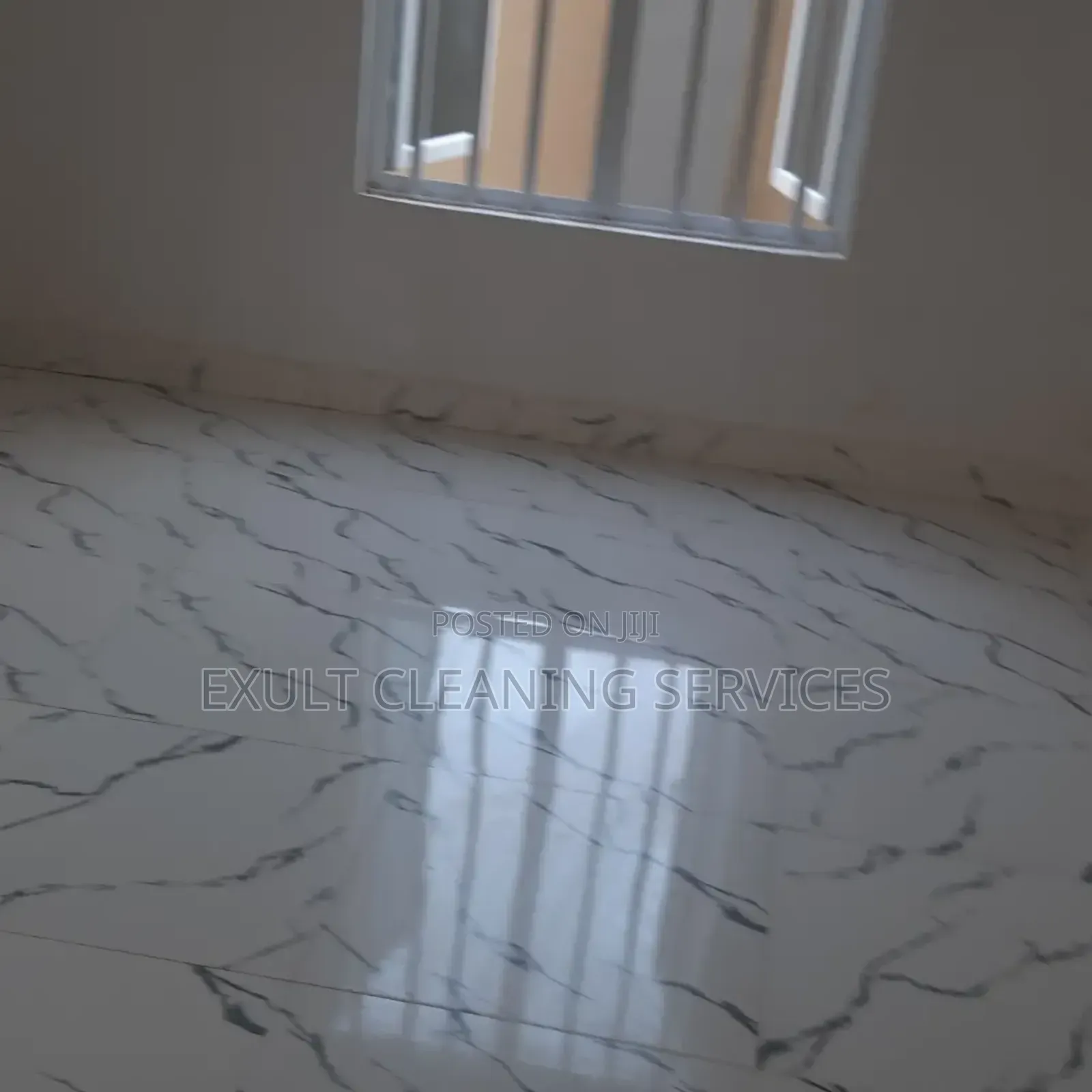 Professional Cleaning Services