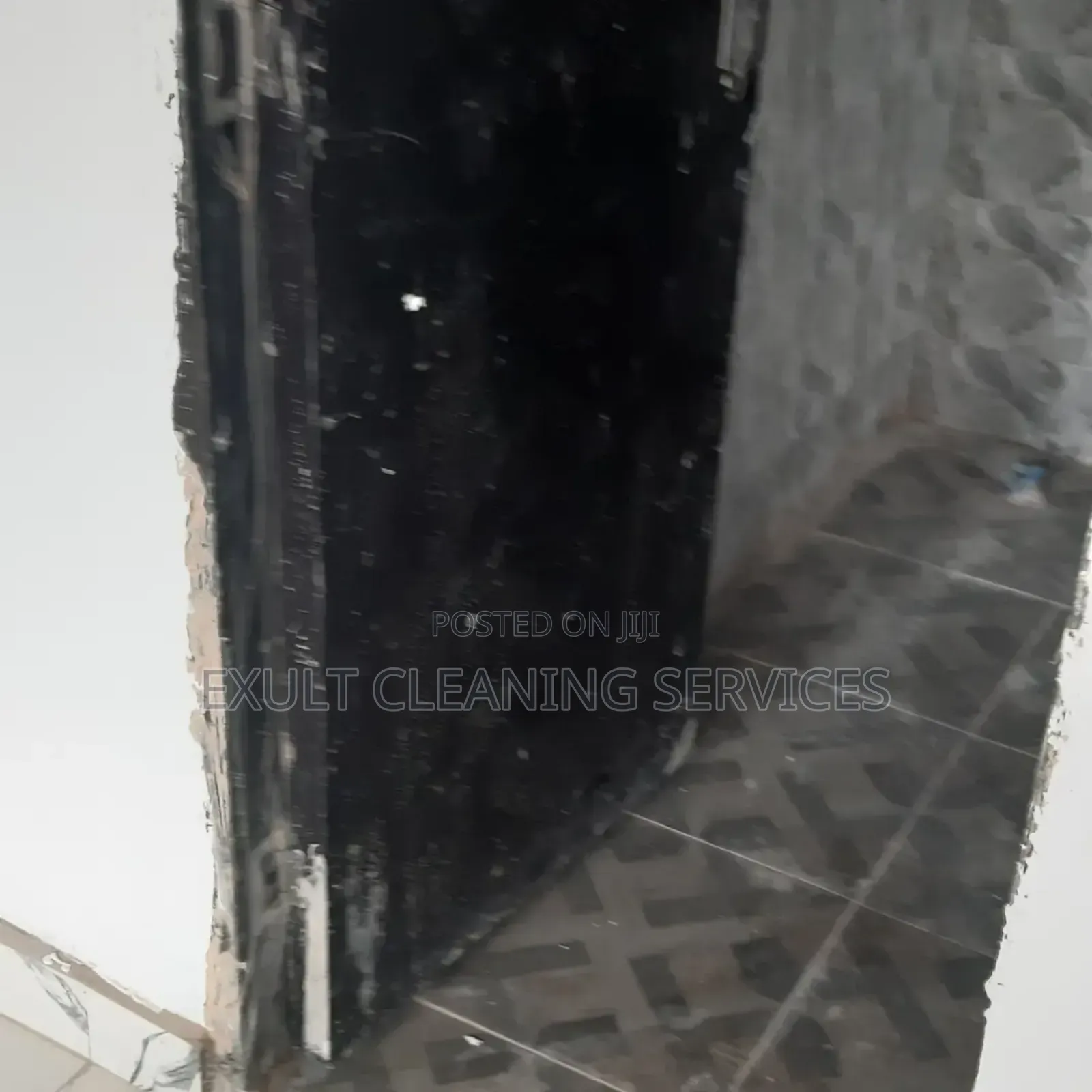 Professional Cleaning Services